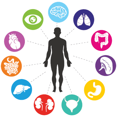 What is functional medicine?